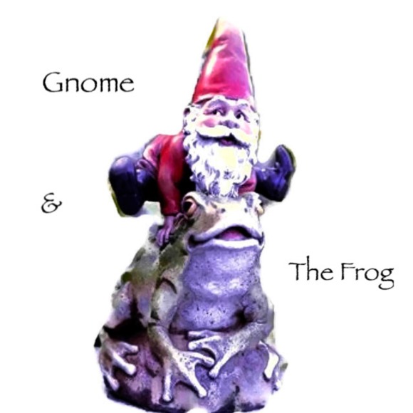 gnomeandthefrog